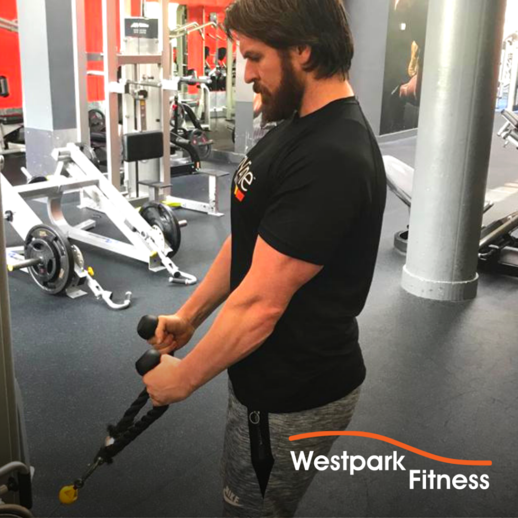 bicep cable curl exercise of the week westpark fitness tallaght dublin 24