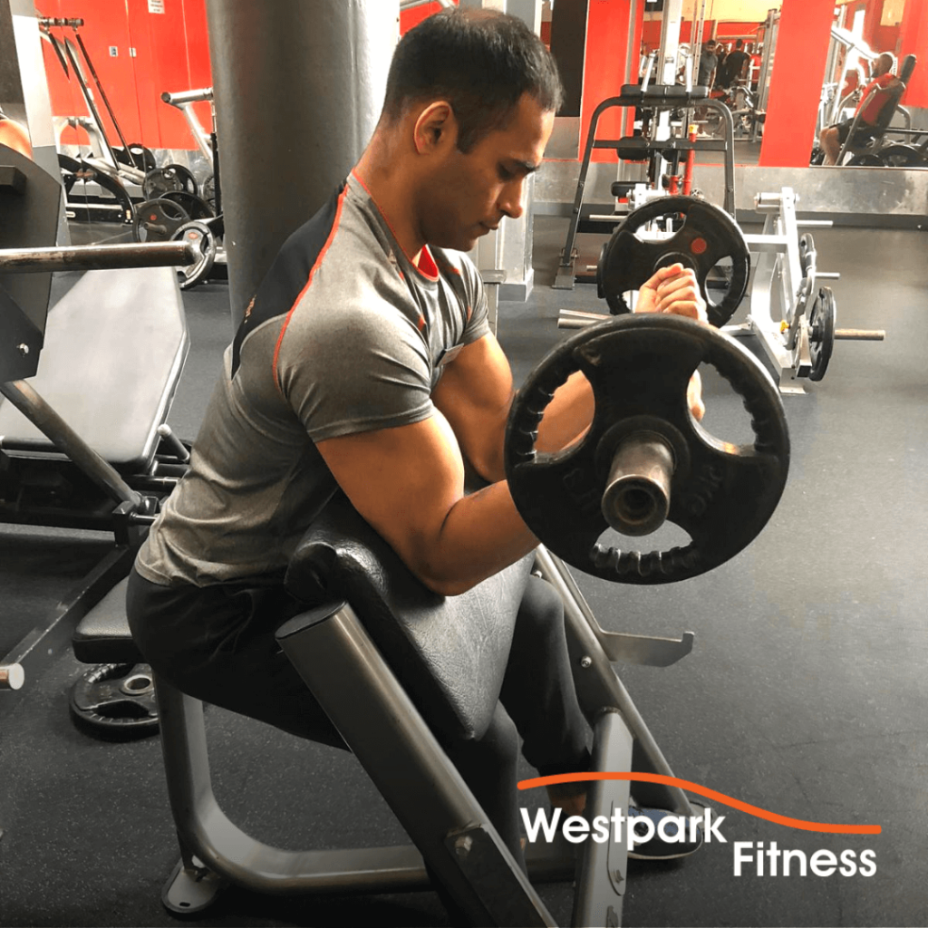 preacher curl exercise of the week at westpark fitness
