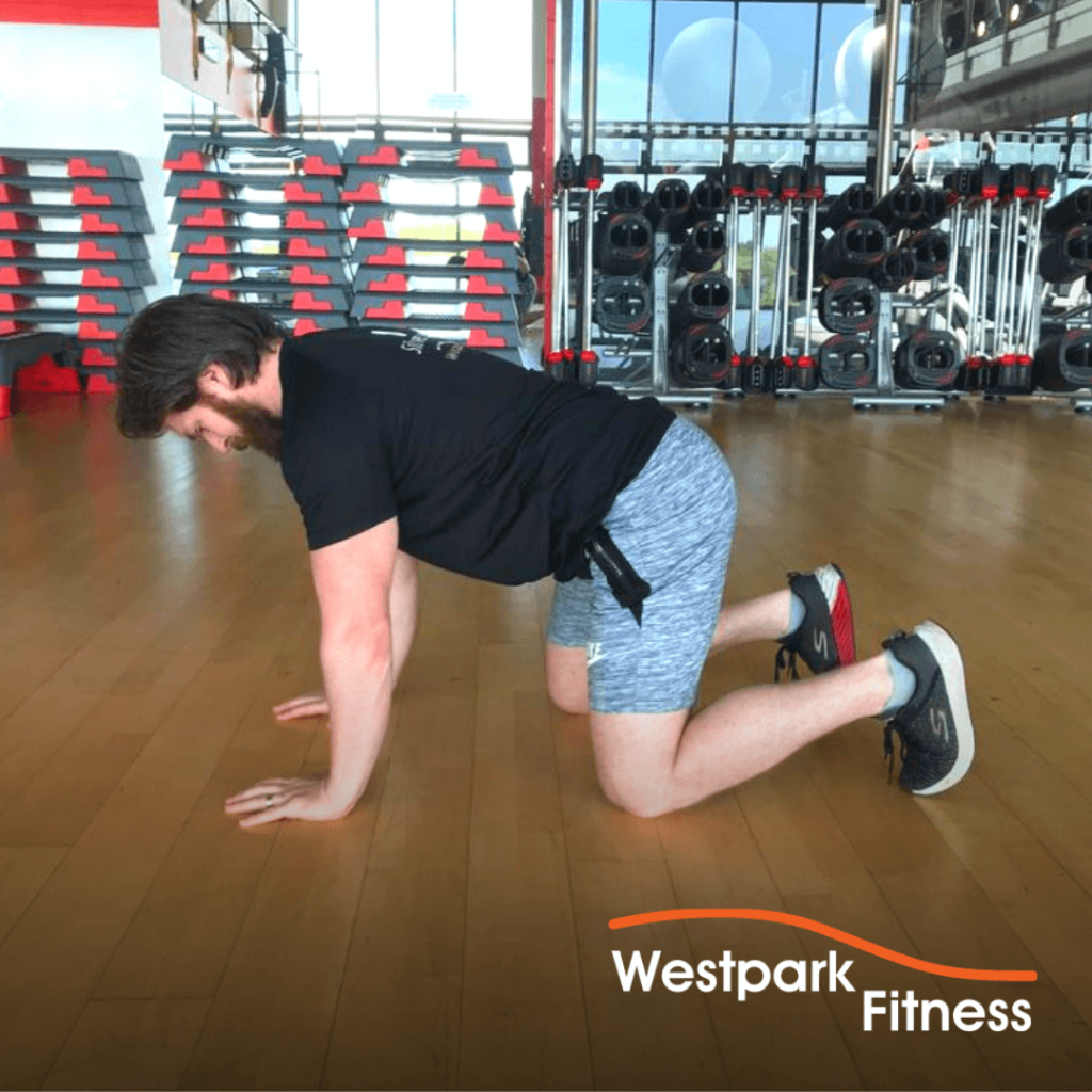 four-point kneeling westpark fitness exercise of the week