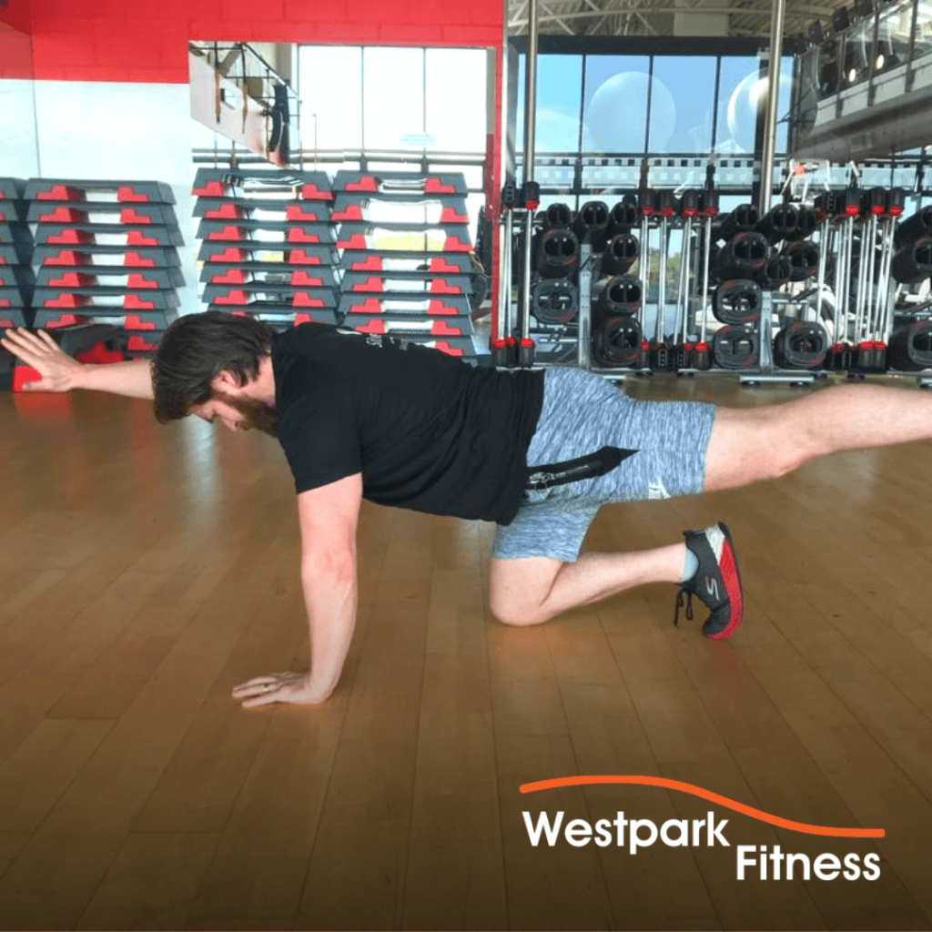 Four-Point Kneeling - Exercise of the Week | Westpark Fitness